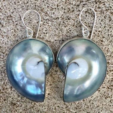 ER 06496 NT-(925 BALI SILVER EARRINGS WITH NATURAL NAUTILUS SHELL)